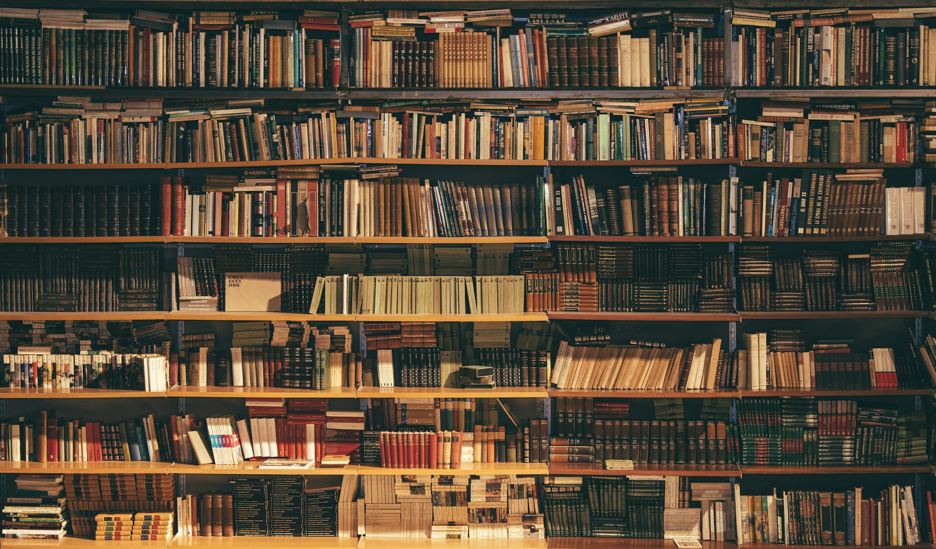 Ряди книг і довідників на полицях